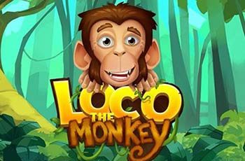 Loco the Monkey