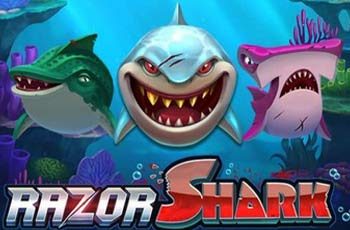 Razor Shark